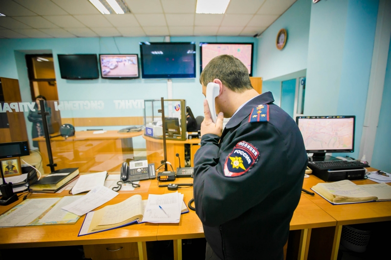 ТОП-5 «Нелепых преступлений», раскрытых сотрудниками кубанской полиции.